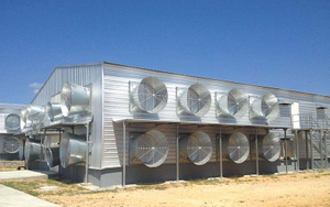 Popular Galvanized Prefabricated Steel Structure Broiler Poultry Chicken House of Farms