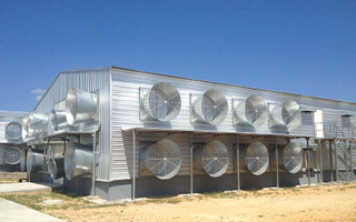 Popular Galvanized Prefabricated Steel Structure Broiler Poultry Chicken House of Farms